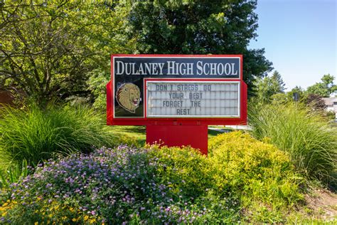 dulaney high school reviews